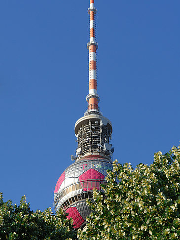 Fernsehturm und Bäume