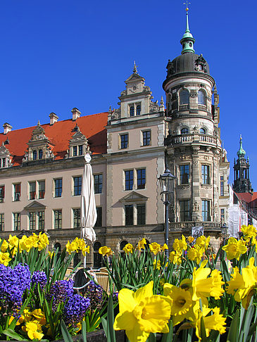 Foto Schloss - Dresden