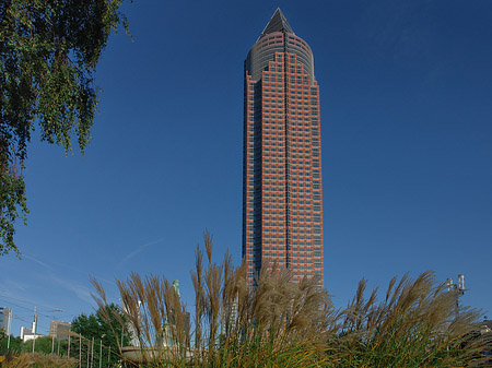 Foto Messeturm mit Wiese - Frankfurt am Main