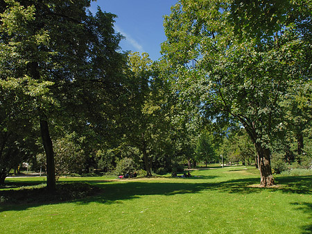 Taunusanlage im Wald