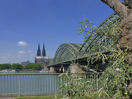Fotos Hohenzollernbrücke am Kölner Dom | Köln