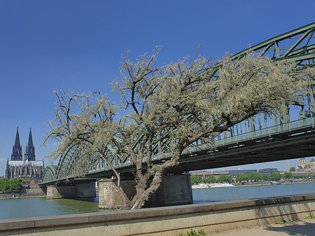 Fotos Hohenzollernbrücke am Kölner Dom | Köln
