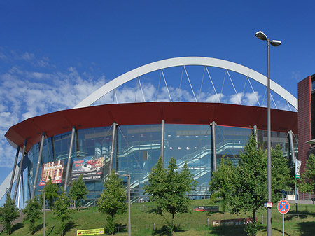 Kölnarena hinter Bäumen Foto 