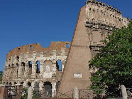 Bäume vor dem Kolosseum Foto 