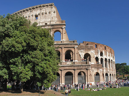 Fotos Kolosseum hinter Bäumen und Säulen | Rom