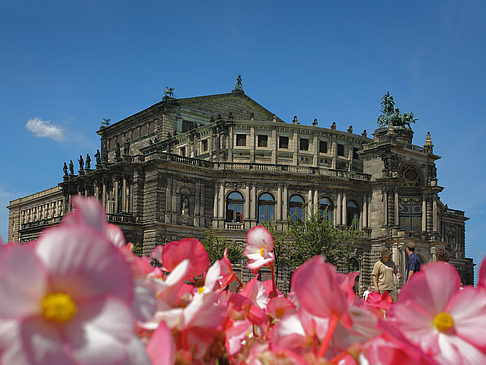 Foto Semperoper mit Blumen - Dresden
